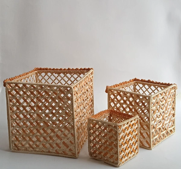 Contenedor Palma iraca x3